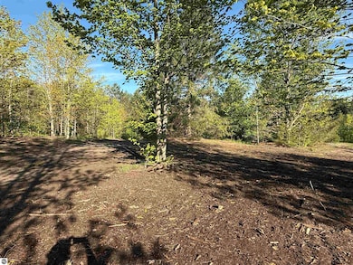 1007 E Solaris Way, Maple City, MI 49664 - photo 2