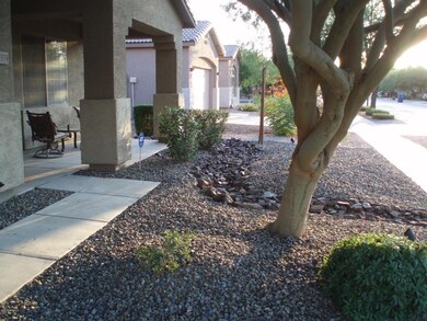 PROFESSIONAL FRONT LANDSCAPE