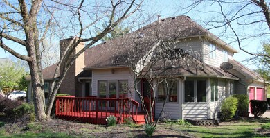Exterior Rear