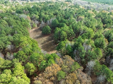 County Road 2235, Bagwell, TX 75412 - photo 2