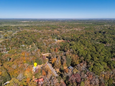 875 Crawford Dr, Edisto Island, SC 29438 - photo 3