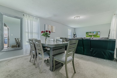 552 Walnut Ave, Elgin, IL 60123 - photo 5