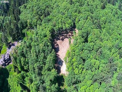 2950 NW 53rd Dr, Portland, OR 97210 - photo 6