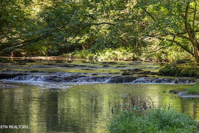 Positive Perceptions-3