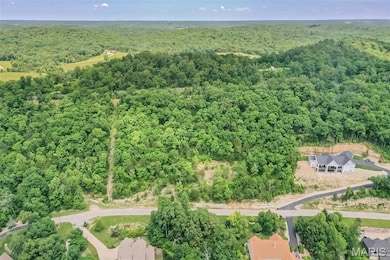 4495 Kingfisher Ct, Augusta, MO 63332 - photo 2