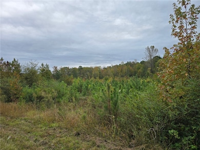 0 E Highway 378 unit 20294703, McCormick, SC 29385 - photo 3