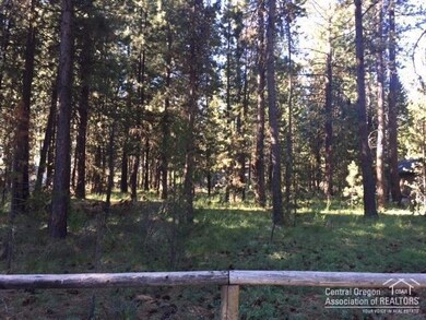 17033 Torrance, Bend, OR 97707 - photo 3