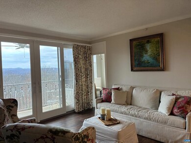 500 Crestwood Dr unit 2403, Charlottesville, VA 22903 - photo 5