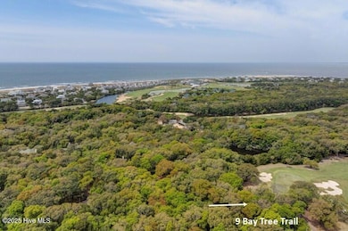 9 Bay Tree Trail, Bald Head Island, NC 28461 - photo 3