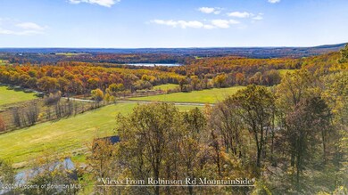 0 Robinson and Fox Rd, South Canaan, PA 18459 - photo 6