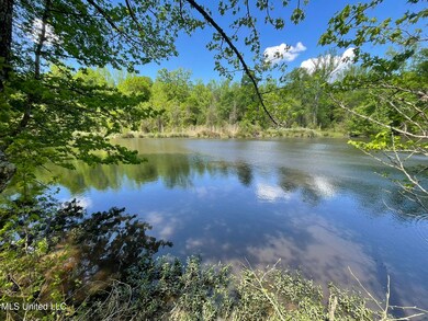 IMG_3458