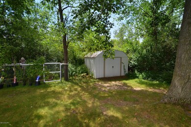 Shed and Garden area