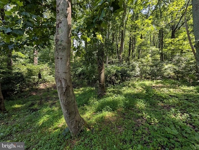 Lots 83-84 Oriole Ct, Front Royal, VA 22630 - photo 3