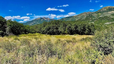 1368 Cr 124 unit Durango CO, Durango, CO 81301 - photo 4