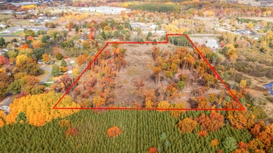 V/L 16 Mile Rd, Big Rapids, MI 49307 - photo 3