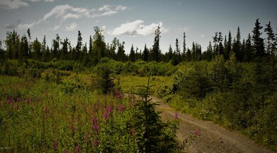 C13 Alaskan Wildwood Ranch, Nikolaevsk, AK 99556 - photo 7