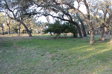 25811 Fleet Gardens, San Antonio, TX 78255 - photo 7