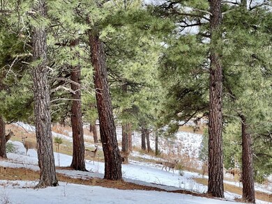 0 Mountain View unit B36 22-407, Trinidad, CO 81082 - photo 6