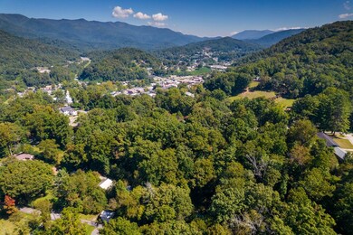 Downtown Sylva
