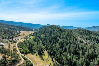 554 Pine Spring Dr, Bayfield, CO 81122 - photo 4