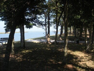 Community park 4