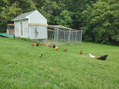 3668 Smith Creek Rd, New Market, VA 22844 - photo 4