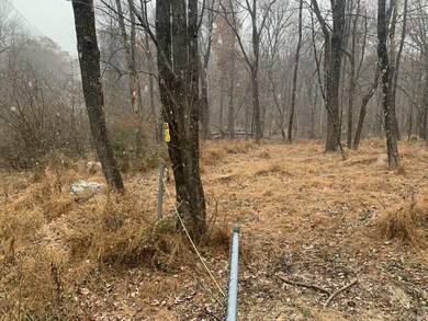 0 W Bangor Rd unit 590636, East Bangor, PA 18013 - photo 2