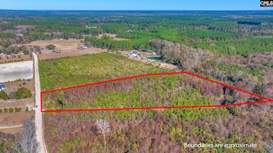 0 Proctor Rd, Cope, SC 29038 - photo 2