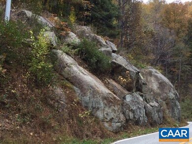 TBD Crabtree Falls Hwy, Tyro, VA 22976 - photo 6