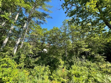 67 Fairway Dr, Hale's Location, NH 03860 - photo 7