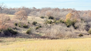 0 NE Heimbaugh Rd, Pattonsburg, MO 64657 - photo 3
