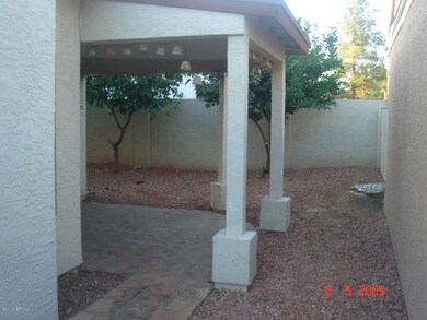 patio, back yard