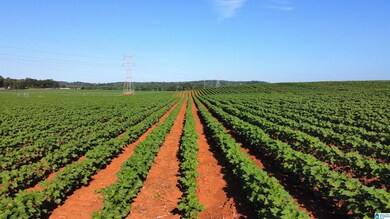 345 Conchardee Ln, Lincoln, AL 35096 - photo 7