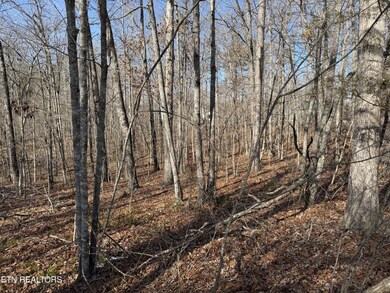 0 Belmont Cir unit RTC2928151, Monterey, TN 38574 - photo 2