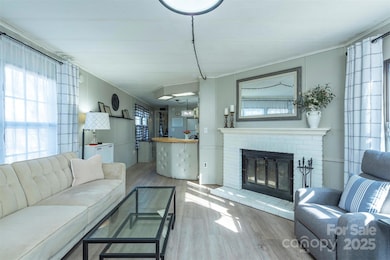 29 Moore St, Woodfin, NC 28804 - photo 7