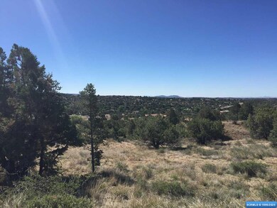 21 Antelope Run, Silver City, NM 88061 - photo 7