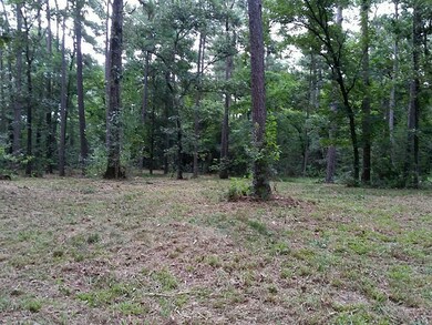 480 Pelican St, Magnolia, TX 77355 - photo 2