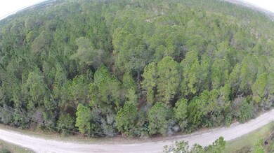 DJI00505