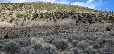Lot 23 Pacheco Rd unit 23, Fort Garland, CO 81133 - photo 2