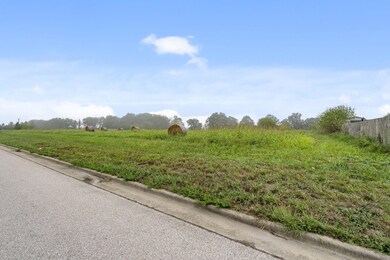 1-web-or-mls-DSC07911