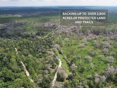 7103 N Lecanto Hwy, Citrus Hills, FL 34442 - photo 4