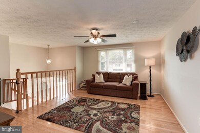 7027 Bedrock Rd, Alexandria, VA 22306 - photo 7