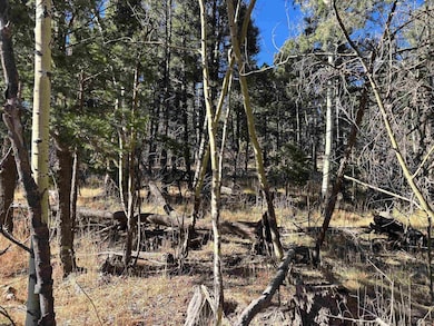 Lot 1490 Royal Ave, Angel Fire, NM 87710 - photo 7