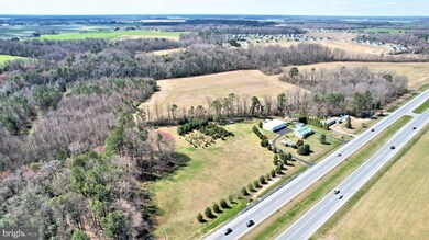 12822 Coastal Hwy, Milton, DE 19968 - photo 5