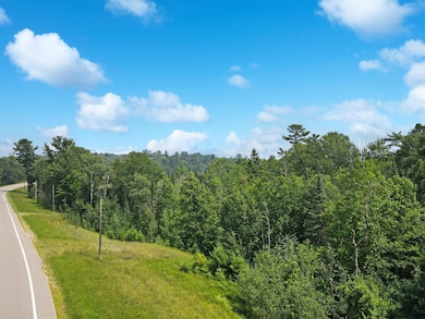 TBD Lower Ten Mile Lake Rd NW, Hackensack, MN 56452 - photo 4