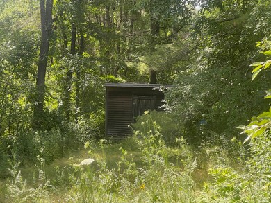 81 Bemis Rd, Hubbardston, MA 01452 - photo 3