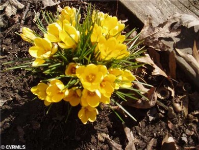 9214 Avalon Dr, Henrico, VA 23229 - photo 4