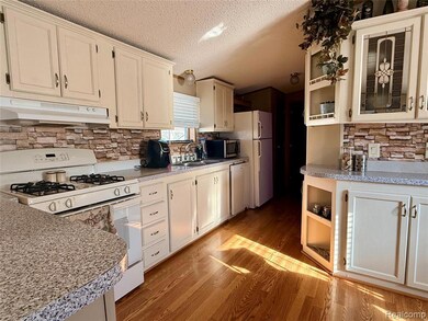 6010 Indian, Burtchville Township, MI 48059 - photo 7