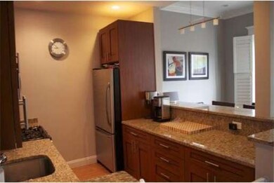 17 Worcester Square unit 3, Boston, MA 02118 - photo 5