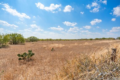 2849 Farm To Market Road 1333, Poteet, TX 78065 - photo 7